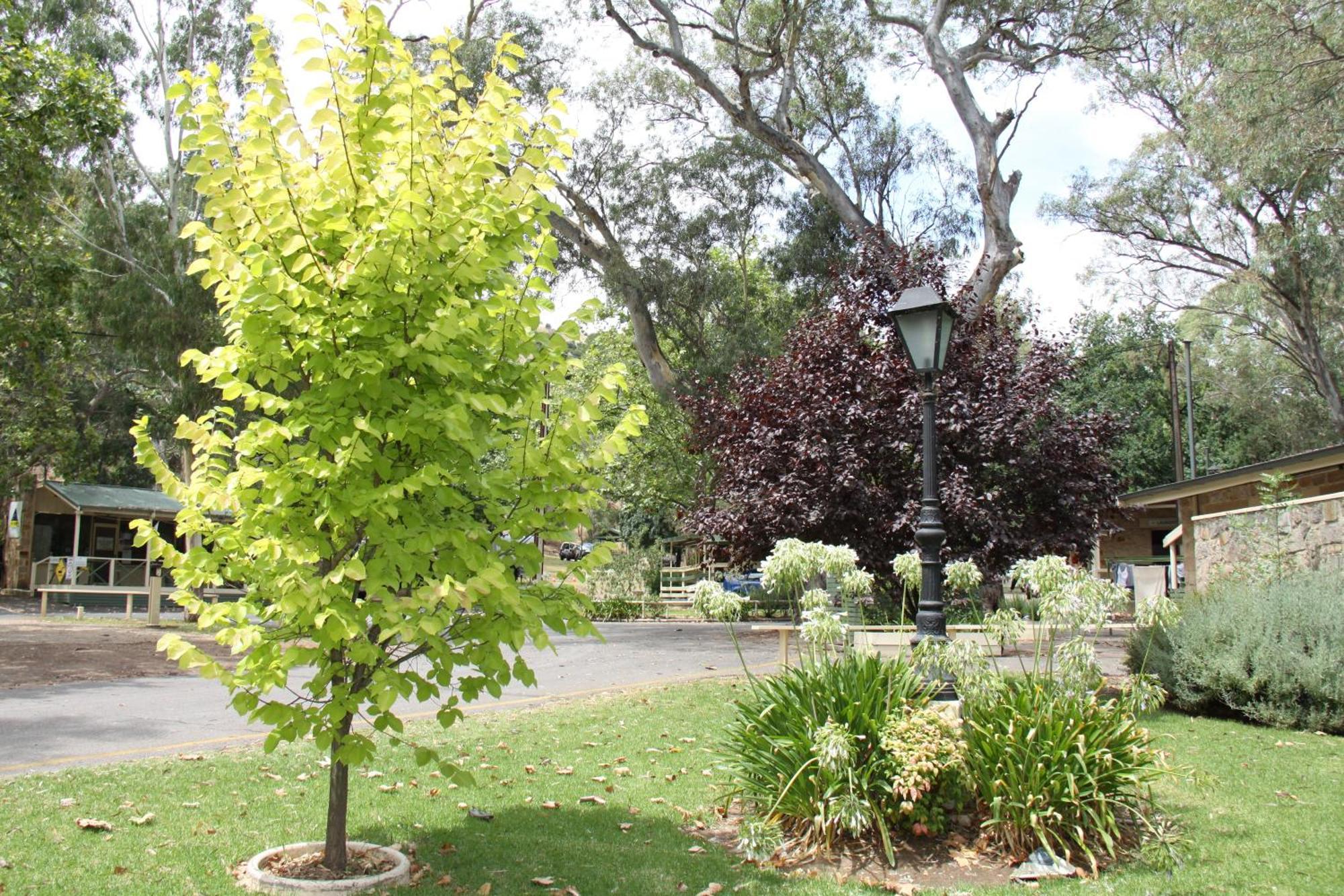 Adelaide Brownhill Creek Tourist Park Hotel Exterior photo